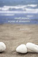small stones: a year of moments