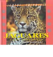 Los Jaguares Y Leopardos