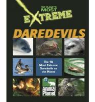 Extreme Daredevils