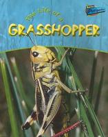 Life of a Grasshopper