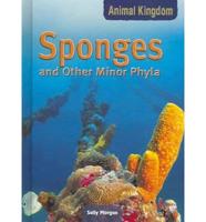 Sponges and Other Minor Phyla