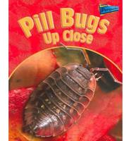 Pill Bugs Up Close