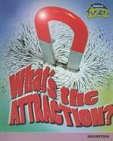 What's the Attraction?: Magnetism