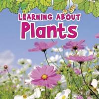 Learning About Plants