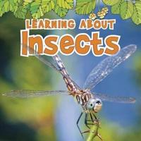 Learning About Insects