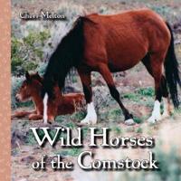 Wild Horses of the Comstock