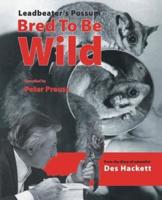 Leadbetter's Possum: Bred to Be Wild