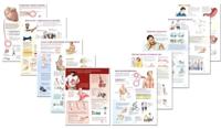 Netter Clinical Charts