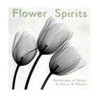Flower Spirits 2007 Calendar