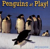 Penguins at Play 2007 Calendar