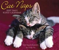 Cat Naps 2007 Calendar