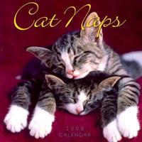 Cat Naps 2008 Calendar