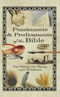 Puzzlements & Predicaments of the Bible