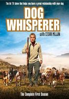 Dog Whisperer With Cesar Millan