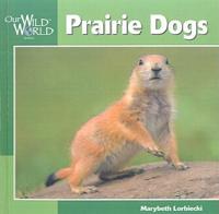 Prairie Dogs