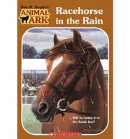 Racehorse In The Rain