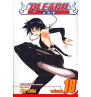 Bleach 18