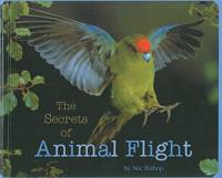 Secrets of Animal Flight