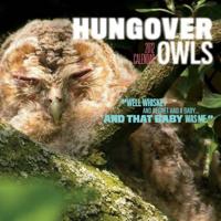 Hungover Owls 2012 Wall Calendar