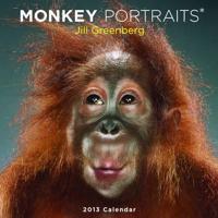 Monkey Portraits 2013 Wall Calendar