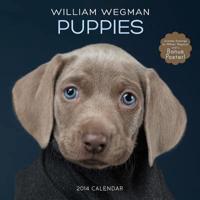 William Wegman Puppies 2014 Wall Calendar