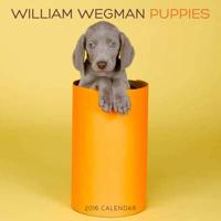 William Wegman Puppies 2016 Wall Calendar