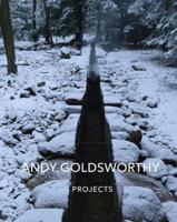 Andy Goldsworthy - Projects