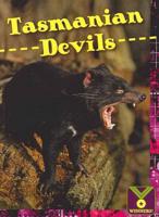 Tasmanian Devils