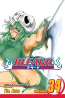 Bleach. Vol. 34