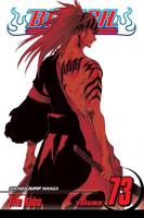 Bleach. 73