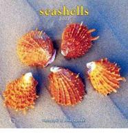 Seashells 2007 Calendar