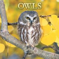 Owls 2007 Calendar