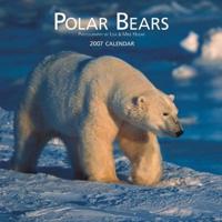 Polar Bears 2007 Calendar