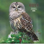 Owls 2008 Calendar