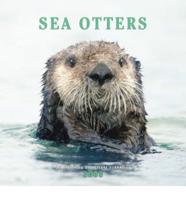 Sea Otters 2008 Calendar