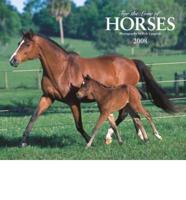 For the Love of Horses 2008 Calendar