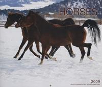 For the Love of Horses 2009 Calendar