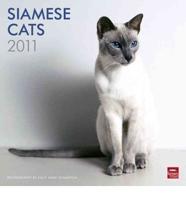 Siamese Cats 2011 Calendar
