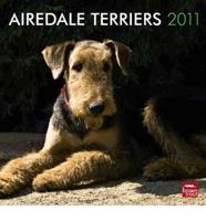 Airedale Terriers 2011 Calendar