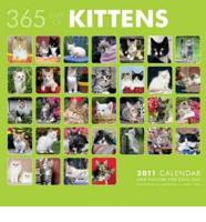 365 Days of Kittens 2011 Calendar