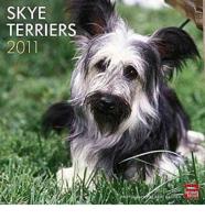 Skye Terriers 2011 Calendar