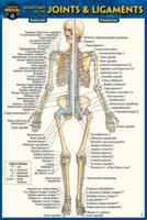 Anatomy of the Joints & Ligaments (Pocket-Sized Edition - 4X6 Inches)