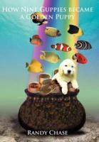 How Nine Guppies became a Golden Puppy