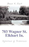703 Wagner St. Elkhart In.: Reflections of Perseverence