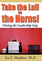 Take the Lull By the Horns!:  Closing the Leadership Gap