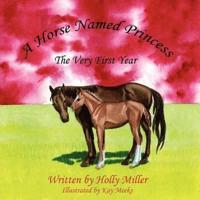 A Horse Named Princess:  The Very First Year