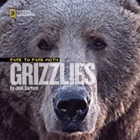 Face to Face With Grizzlies