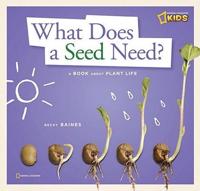 What Does a Seed Need?