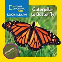 Caterpillar to Butterfly / Text by Catherine D. Hughes