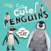 So Cute: Penguins